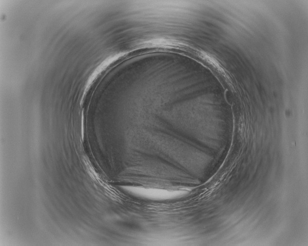 X0000057571323200510071533