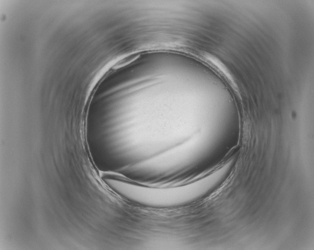X0000057571340200510071534
