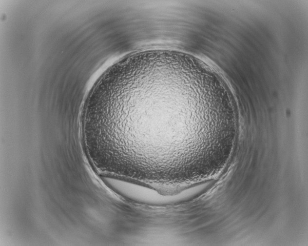 X0000057571341200510071534