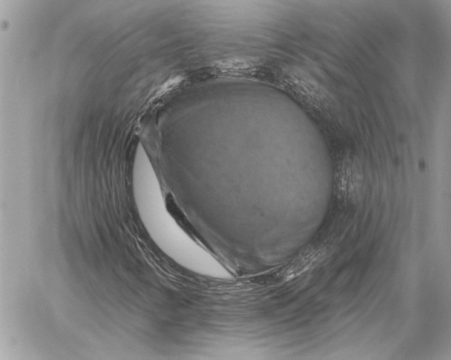 X0000057571346200510071533