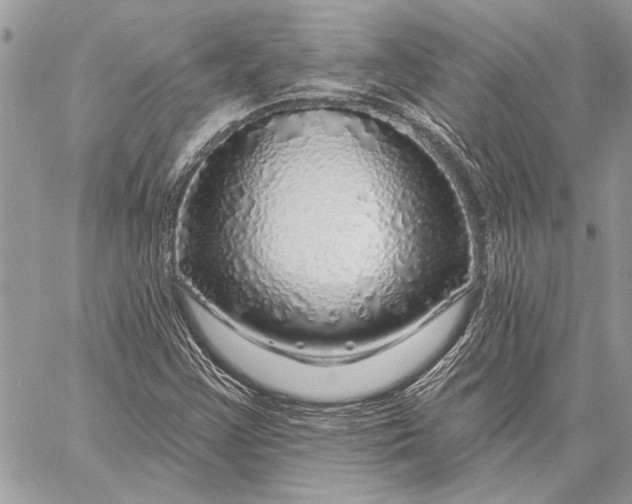X0000057571355200510071533