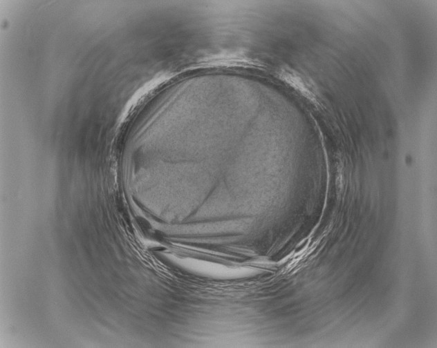 X0000057571358200510071533