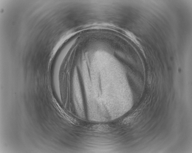 X0000057571368200510071532
