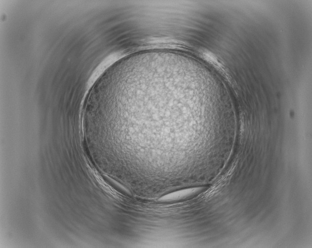 X0000057571370200510071532