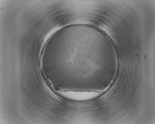 X0000057571371200510071532