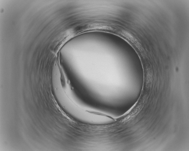 X0000057571377200510071532