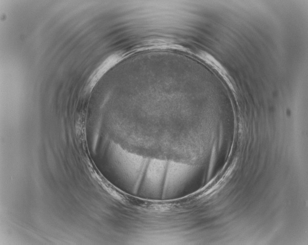 X0000057571385200510071532