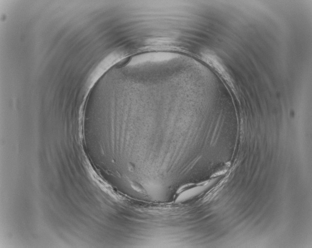X0000057571386200510071532