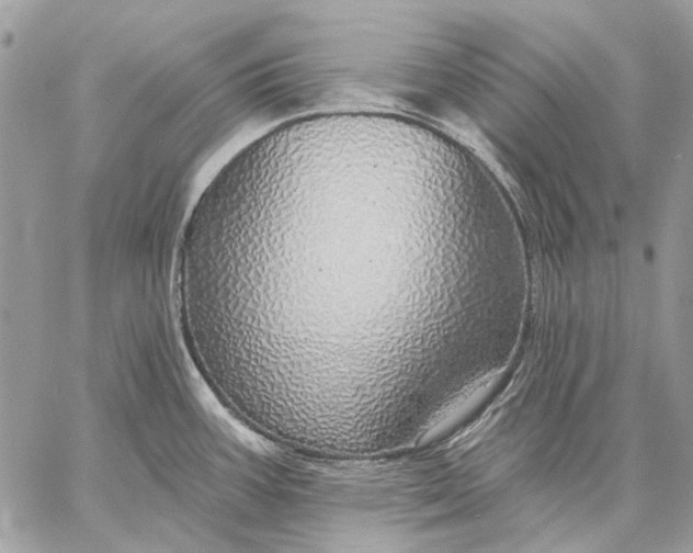 X0000057571387200510071532