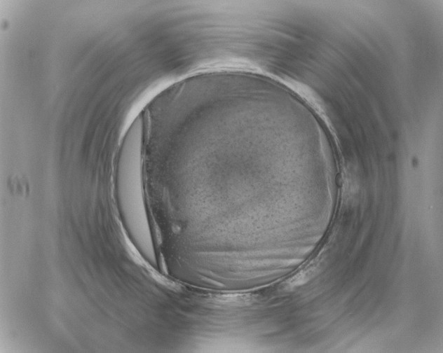 X0000057571390200510071532