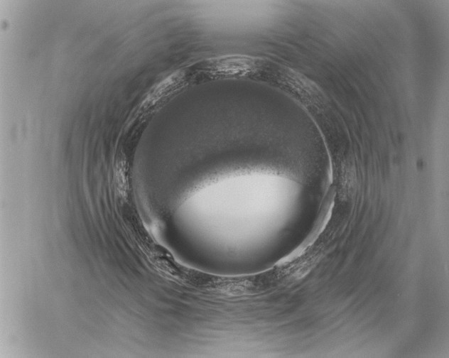 X0000057571394200510071531