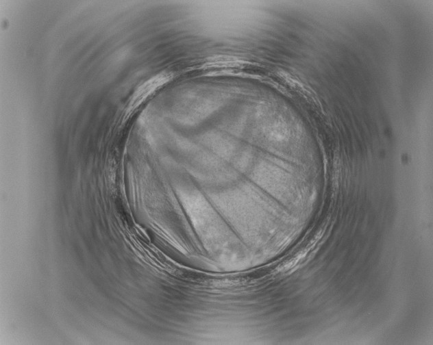 X0000057571401200510071531