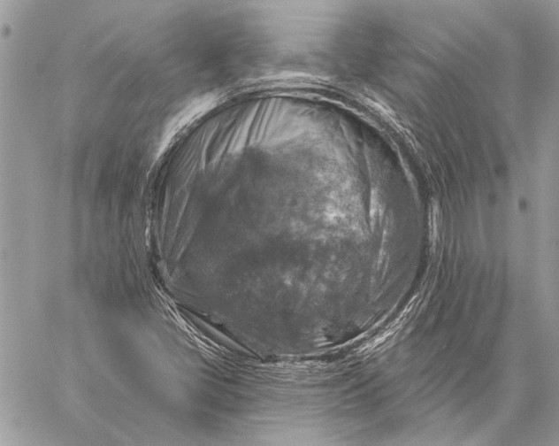 X0000057571405200510071531