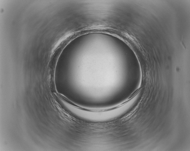X0000057571406200510071531