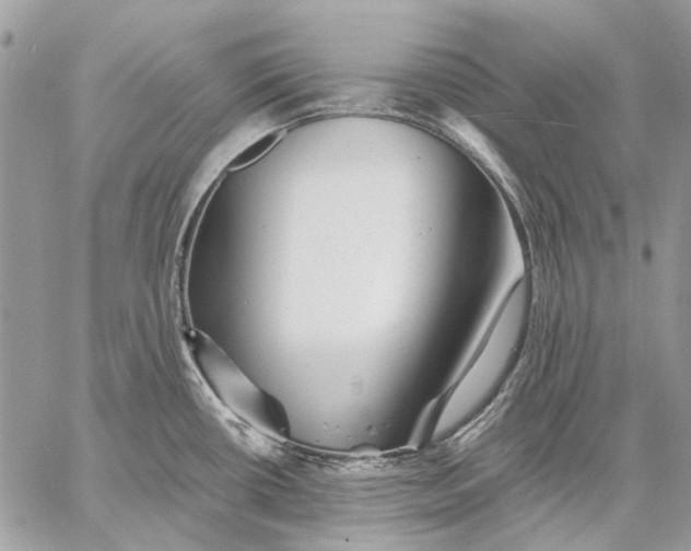 X0000057571434200510071532