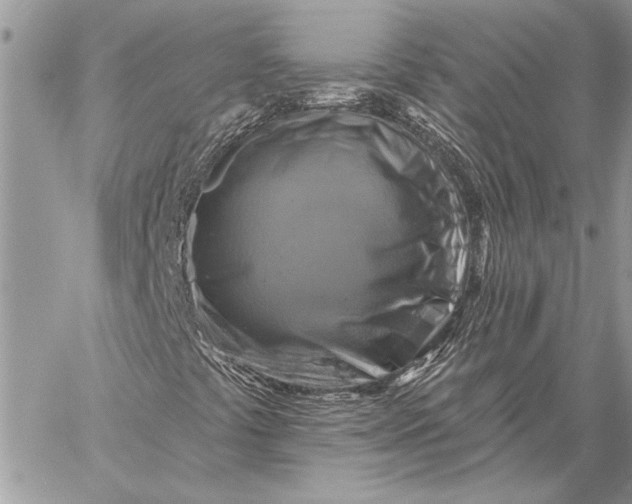 X0000057571441200510071531