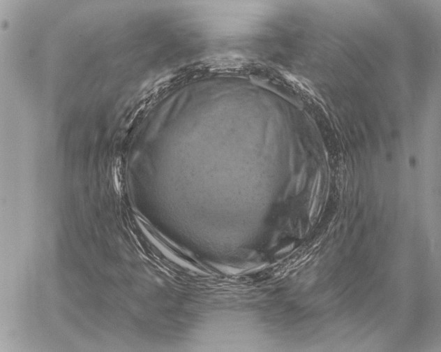 X0000057571445200510071531