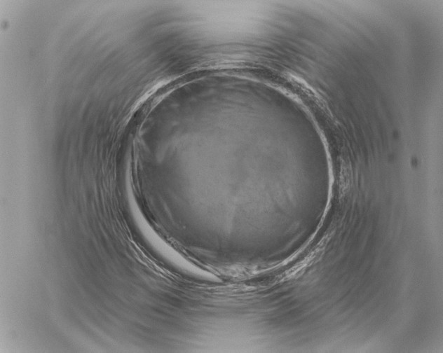 X0000057571449200510071531