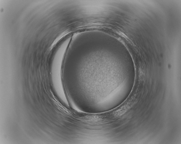 X0000057571450200510071531
