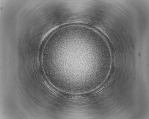 X0000057571452200510071531