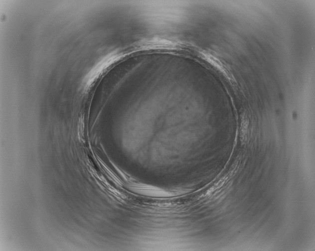 X0000057571455200510071531