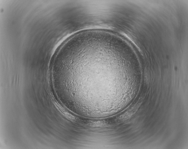 X0000057571460200510071531