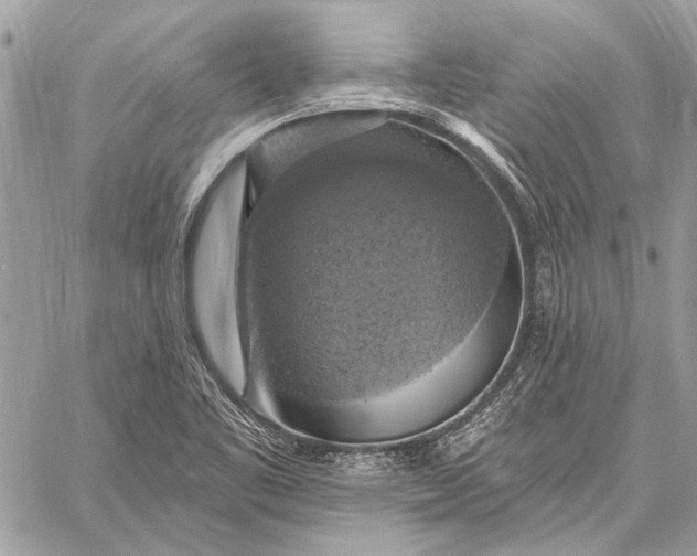 X0000057571461200510071531