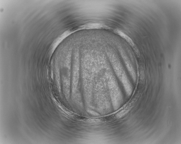 X0000057571473200510071531