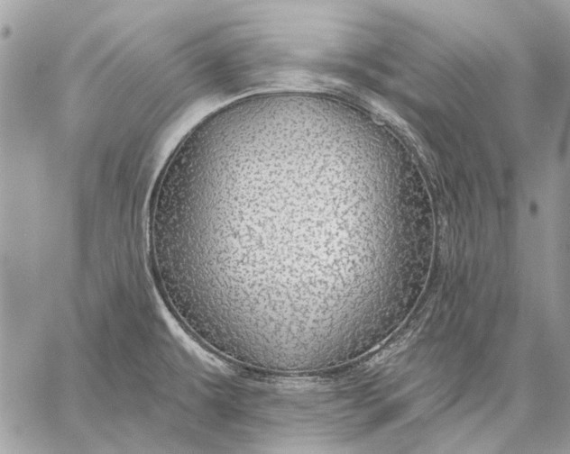 X0000057571479200510071530