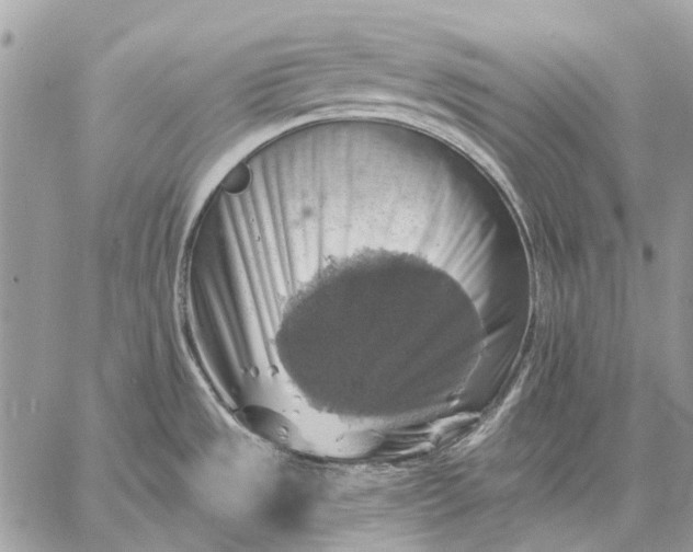X0000057571533200510071530