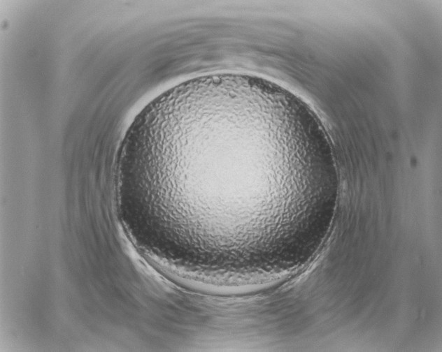 X0000057571534200510071530