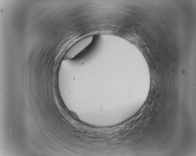 X0000057570001200510171654