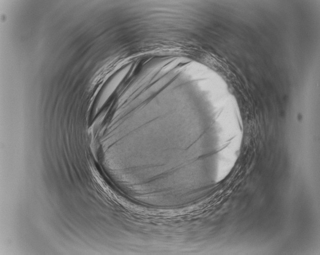 X0000057570002200510171654