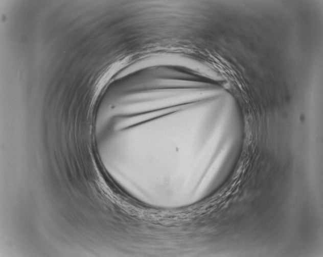 X0000057570003200510171654