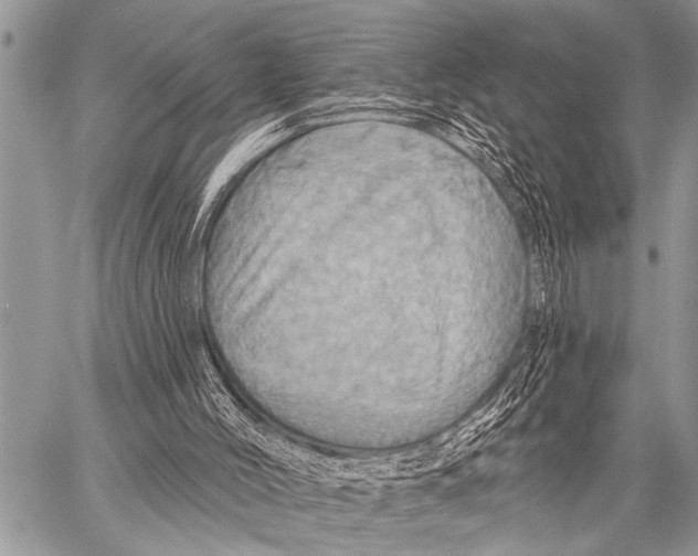 X0000057570004200510171654