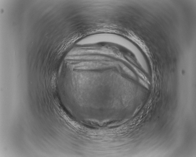 X0000057570009200510171654