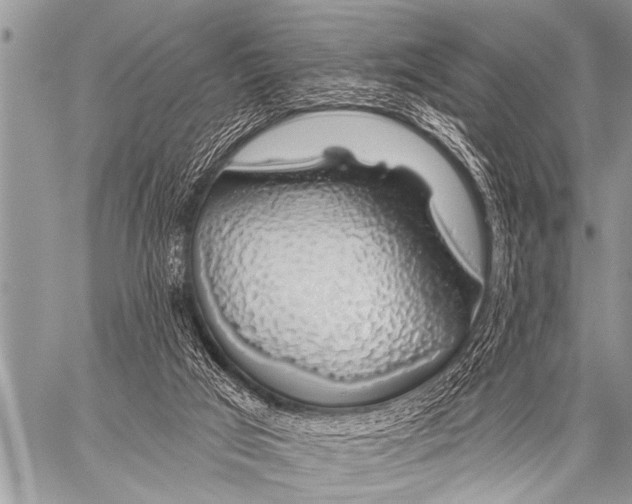 X0000057570017200510171654