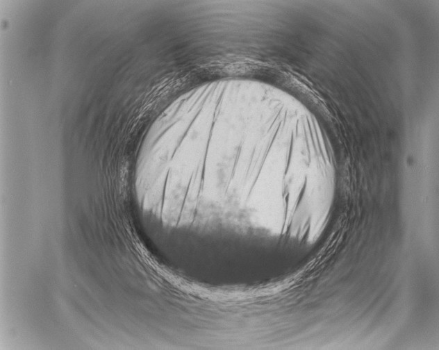 X0000057570018200510171654