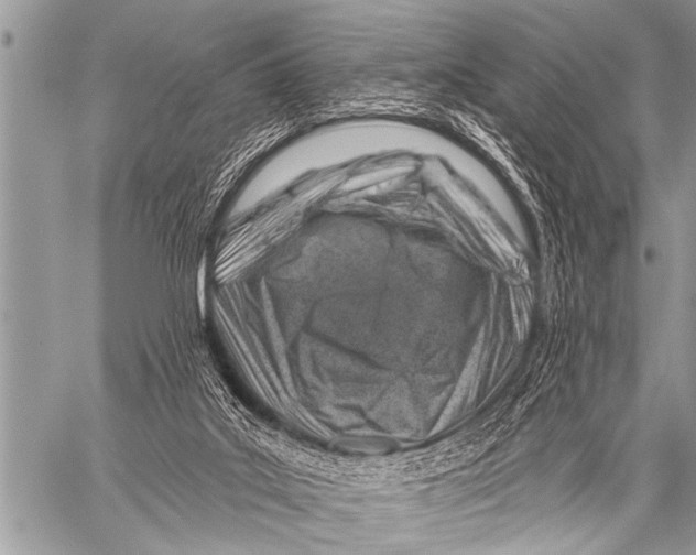 X0000057570019200510171654