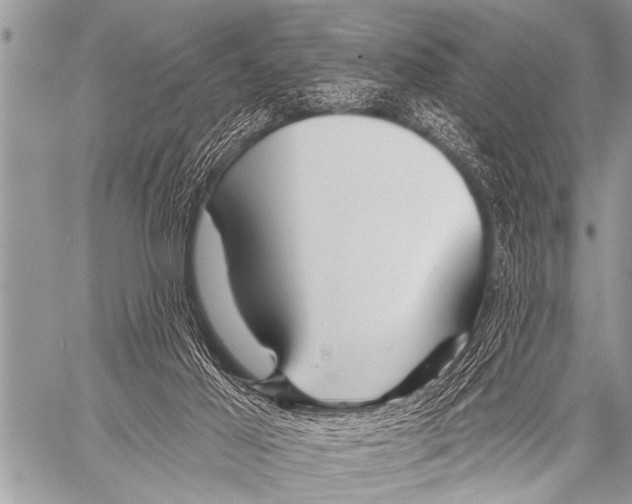 X0000057570021200510171654