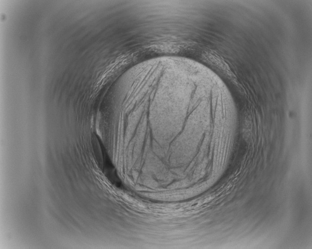 X0000057570023200510171654