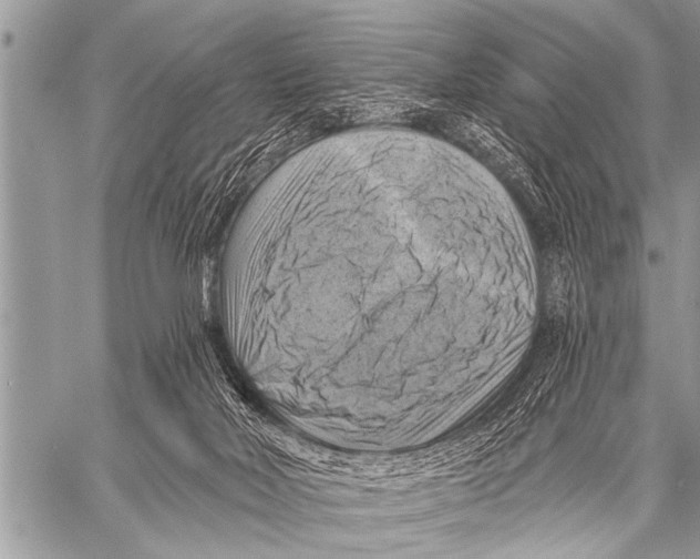 X0000057570026200510171654