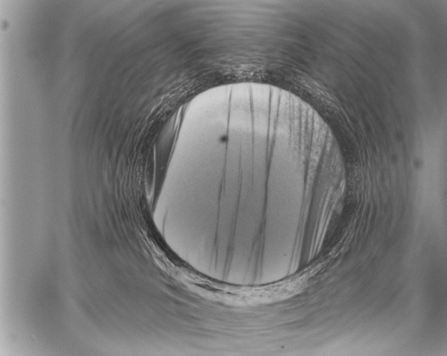 X0000057570039200510171654