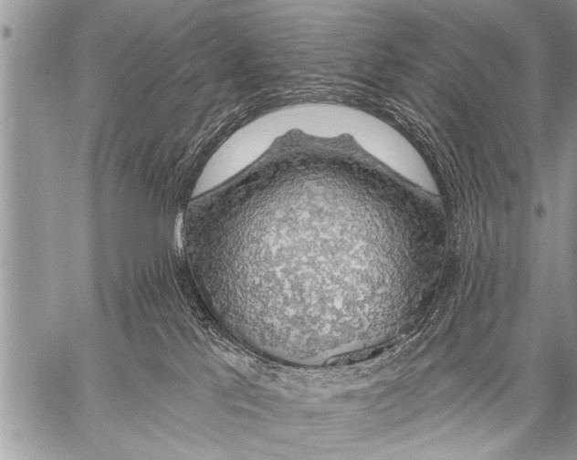 X0000057570041200510171653