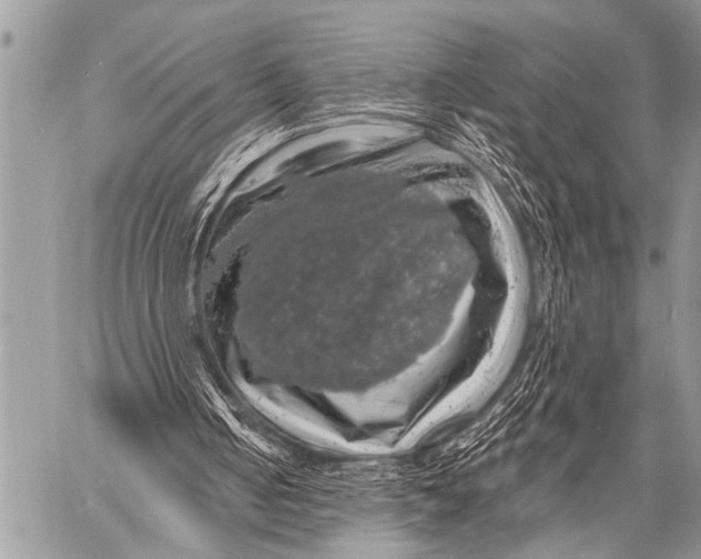 X0000057570050200510171653