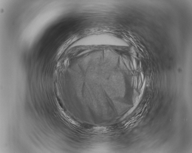 X0000057570052200510171653