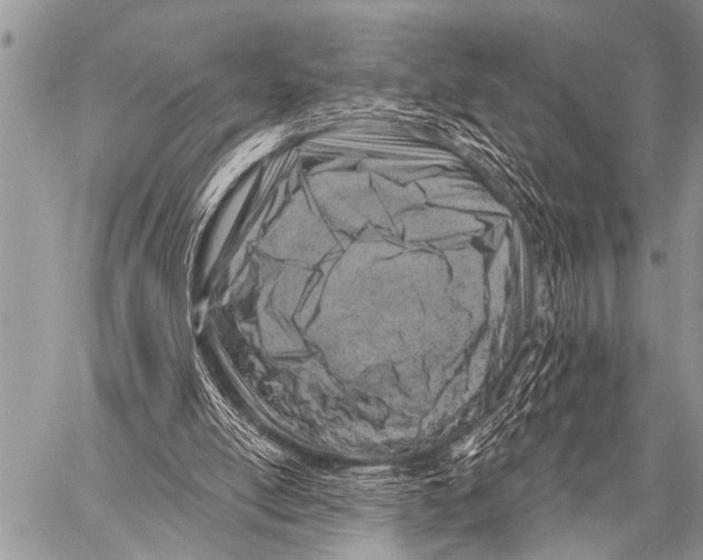 X0000057570054200510171653