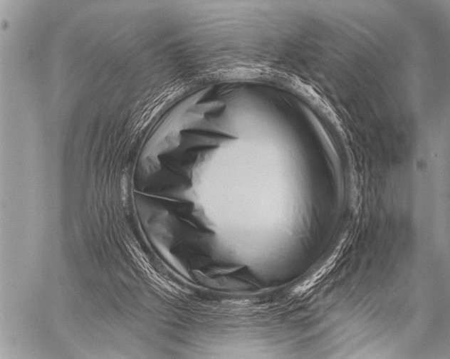 X0000057570057200510171653
