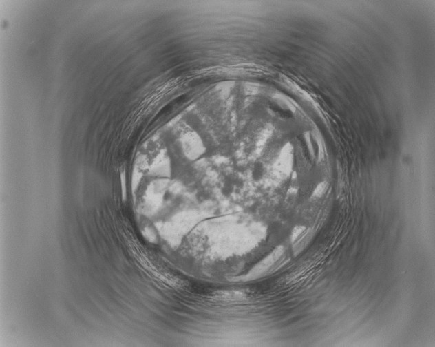 X0000057570061200510171653