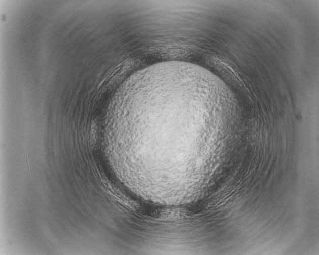 X0000057570077200510171653